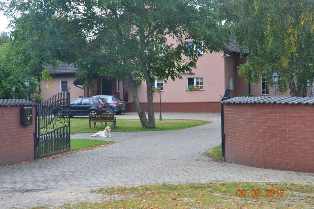 Domki W Zaciszu Ruś Oda fotoğraf